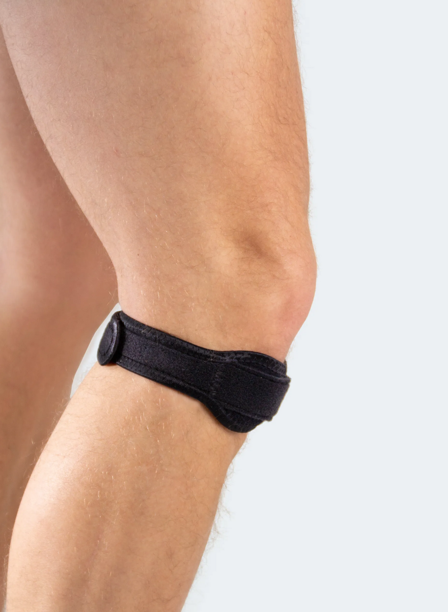 Patella Sehnenband