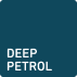 Deep Petrol
