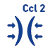 Ccl2